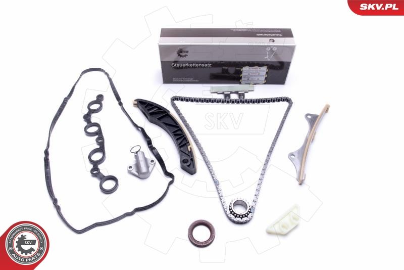 ESEN SKV Timing Chain Kit